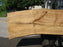 Cottonwood #7299(OC) - 2-1/2" x 31" to 39" x 147" FREE SHIPPING within the Contiguous US. freeshipping - Big Wood Slabs