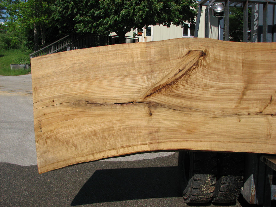 Cottonwood #7299(OC) - 2-1/2" x 31" to 39" x 147" FREE SHIPPING within the Contiguous US. freeshipping - Big Wood Slabs