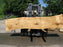 Cottonwood #7400(OC) - 3" x 21" to 30" x 144" FREE SHIPPING within the Contiguous US. freeshipping - Big Wood Slabs