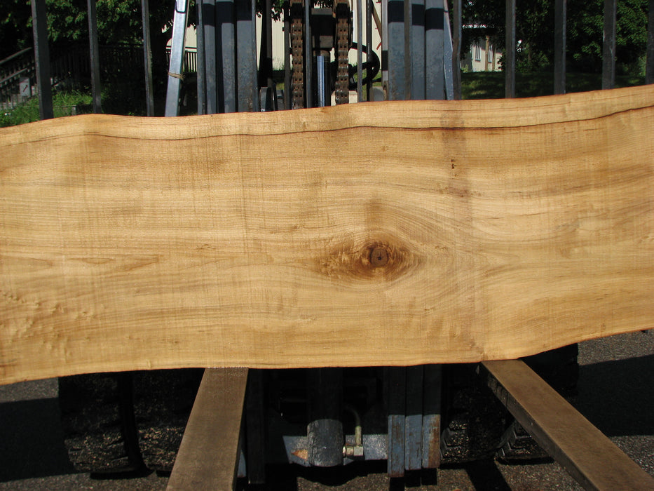 Cottonwood #7400(OC) - 3" x 21" to 30" x 144" FREE SHIPPING within the Contiguous US. freeshipping - Big Wood Slabs