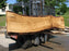 Cottonwood #7400(OC) - 3" x 21" to 30" x 144" FREE SHIPPING within the Contiguous US. freeshipping - Big Wood Slabs