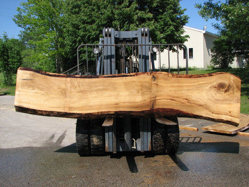 Cottonwood #7400(OC) - 3" x 21" to 30" x 144" FREE SHIPPING within the Contiguous US. freeshipping - Big Wood Slabs