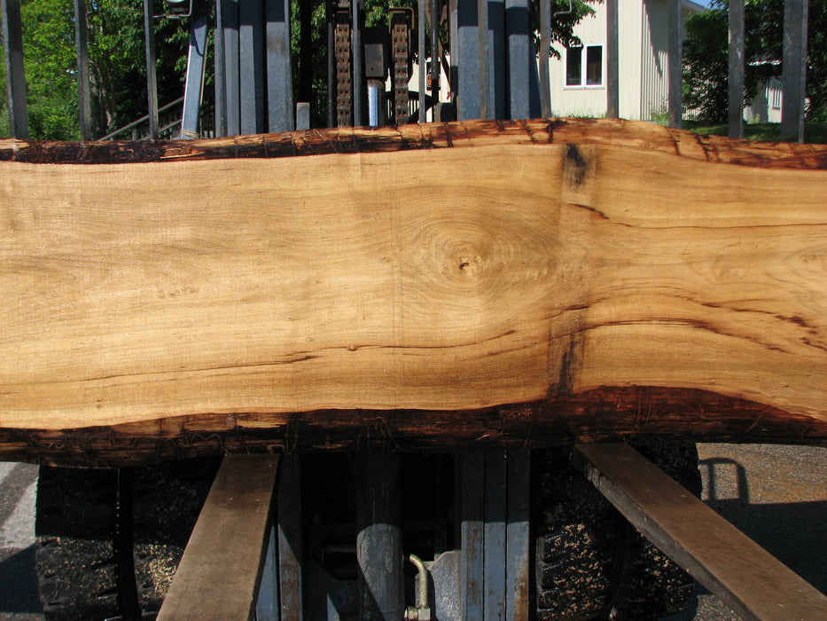 Cottonwood #7400(OC) - 3" x 21" to 30" x 144" FREE SHIPPING within the Contiguous US. freeshipping - Big Wood Slabs