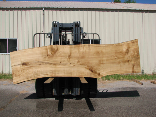 Cottonwood #7403(OC) 2-1/4" x 33" to 36" x 139" FREE SHIPPING within the Contiguous US. freeshipping - Big Wood Slabs