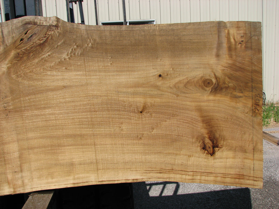 Cottonwood #7403(OC) 2-1/4" x 33" to 36" x 139" FREE SHIPPING within the Contiguous US. freeshipping - Big Wood Slabs