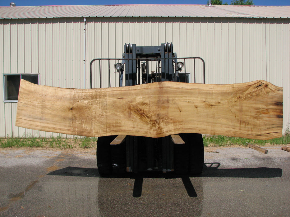 Cottonwood #7404(OC) - 6" x 17-1/2" to 25" x 163" FREE SHIPPING within the Contiguous US. freeshipping - Big Wood Slabs