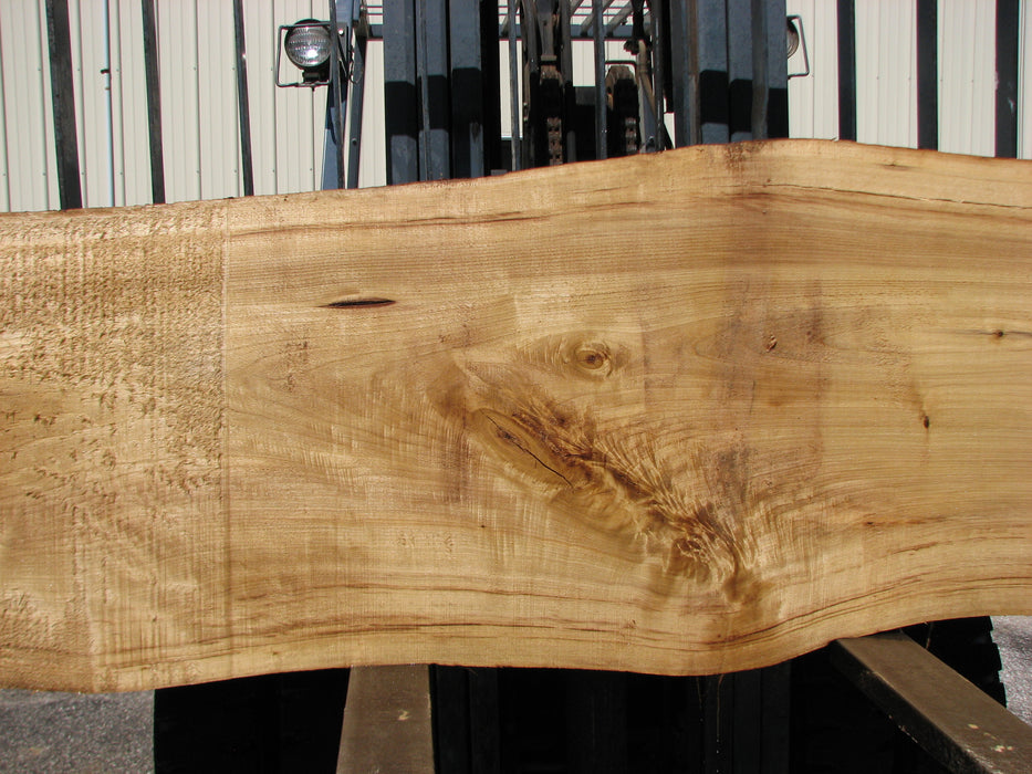 Cottonwood #7404(OC) - 6" x 17-1/2" to 25" x 163" FREE SHIPPING within the Contiguous US. freeshipping - Big Wood Slabs