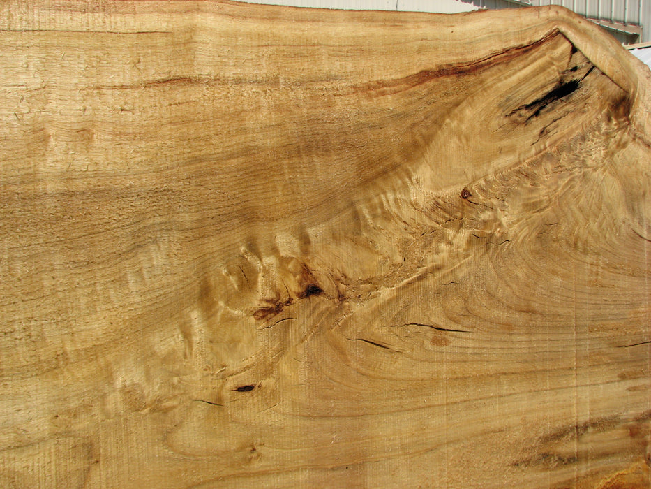 Cottonwood #7404(OC) - 6" x 17-1/2" to 25" x 163" FREE SHIPPING within the Contiguous US. freeshipping - Big Wood Slabs