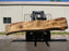 Cottonwood #7404(OC) - 6" x 17-1/2" to 25" x 163" FREE SHIPPING within the Contiguous US. freeshipping - Big Wood Slabs