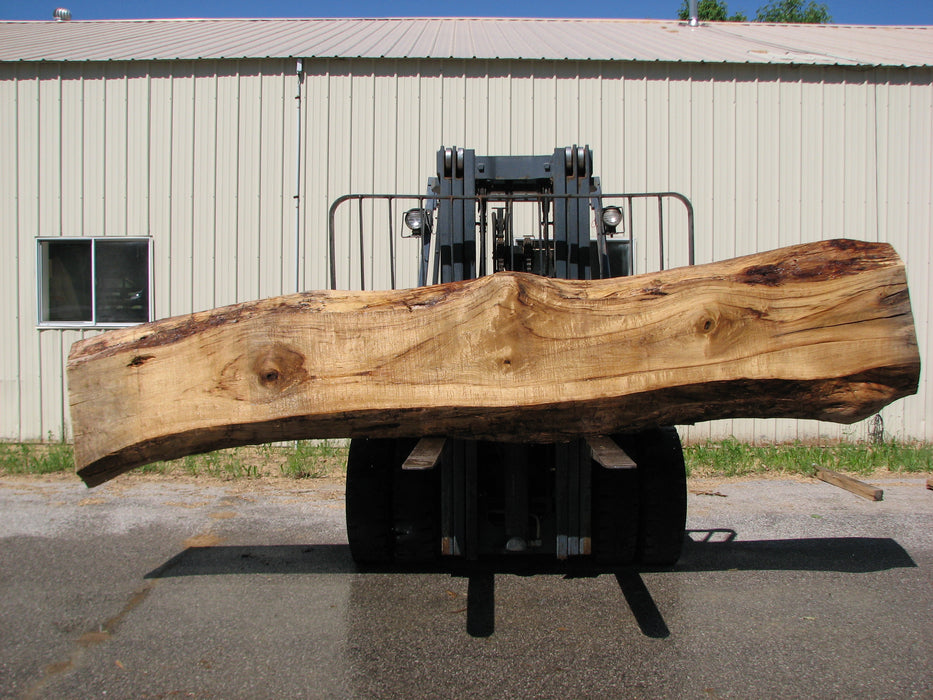 Cottonwood #7404(OC) - 6" x 17-1/2" to 25" x 163" FREE SHIPPING within the Contiguous US. freeshipping - Big Wood Slabs