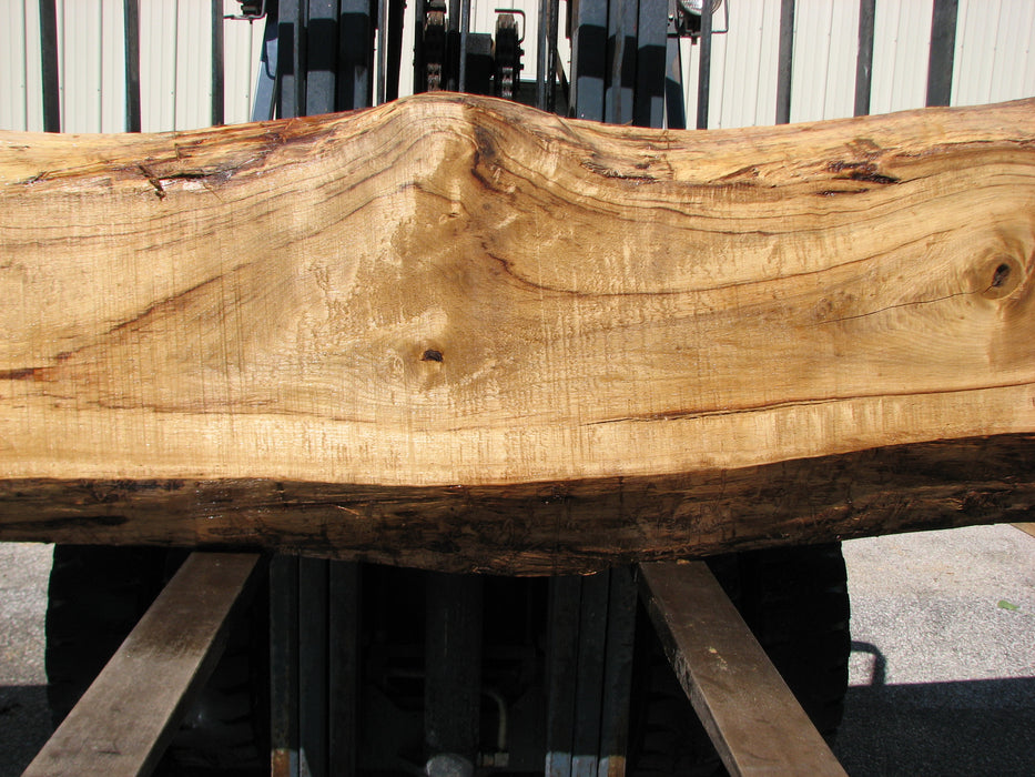 Cottonwood #7404(OC) - 6" x 17-1/2" to 25" x 163" FREE SHIPPING within the Contiguous US. freeshipping - Big Wood Slabs