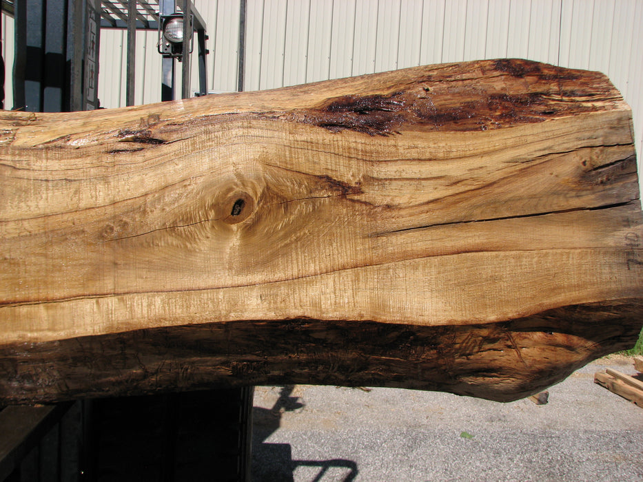 Cottonwood #7404(OC) - 6" x 17-1/2" to 25" x 163" FREE SHIPPING within the Contiguous US. freeshipping - Big Wood Slabs