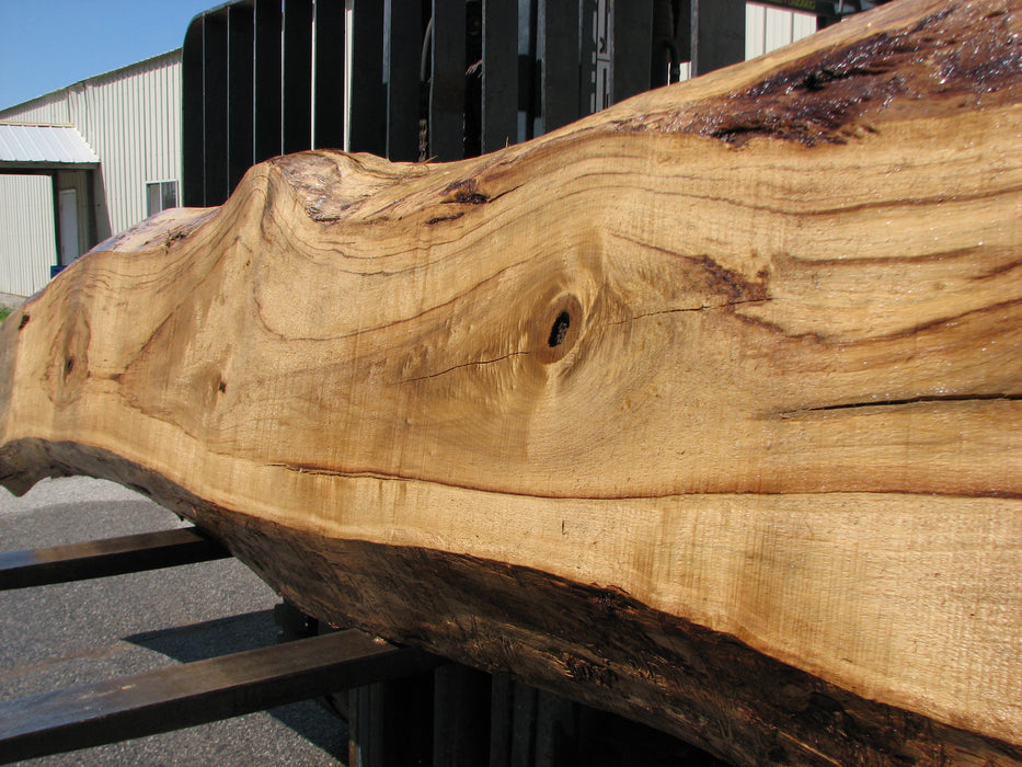 Cottonwood #7404(OC) - 6" x 17-1/2" to 25" x 163" FREE SHIPPING within the Contiguous US. freeshipping - Big Wood Slabs