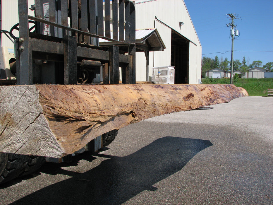 Cottonwood #7404(OC) - 6" x 17-1/2" to 25" x 163" FREE SHIPPING within the Contiguous US. freeshipping - Big Wood Slabs