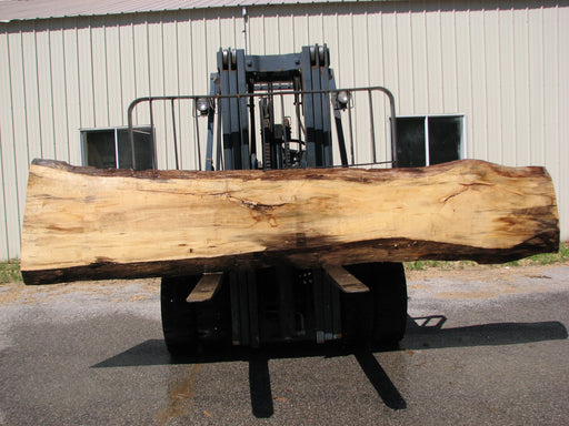 Cottonwood #7405(OC) - 2" x 15" to 28" x 142" FREE SHIPPING within the Contiguous US. freeshipping - Big Wood Slabs