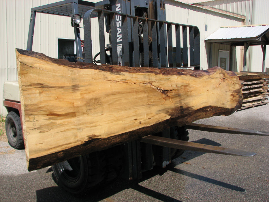 Cottonwood #7405(OC) - 2" x 15" to 28" x 142" FREE SHIPPING within the Contiguous US. freeshipping - Big Wood Slabs