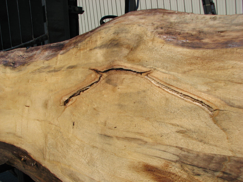 Cottonwood #7405(OC) - 2" x 15" to 28" x 142" FREE SHIPPING within the Contiguous US. freeshipping - Big Wood Slabs