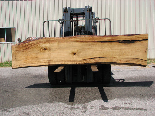 Cottonwood #7408(OC) - 2-3/4" x 23" to 32" x 143" FREE SHIPPING within the Contiguous US. freeshipping - Big Wood Slabs