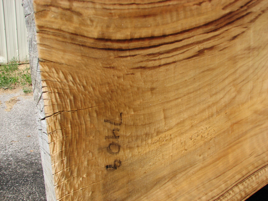 Cottonwood #7408(OC) - 2-3/4" x 23" to 32" x 143" FREE SHIPPING within the Contiguous US. freeshipping - Big Wood Slabs