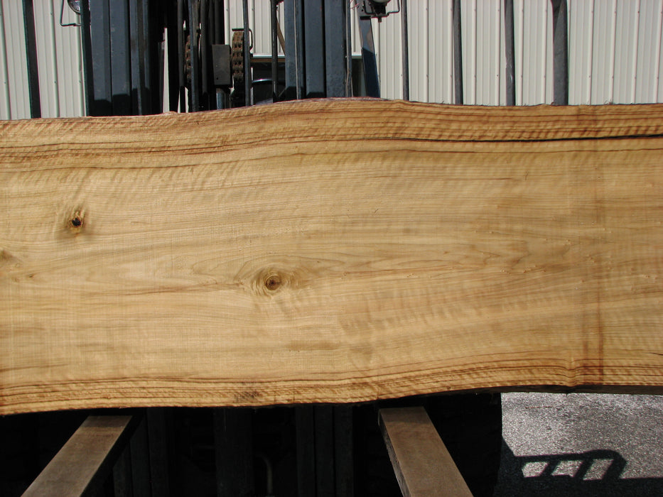 Cottonwood #7409(OC) - 2" x 30" to 35" x 142" FREE SHIPPING within the Contiguous US. freeshipping - Big Wood Slabs