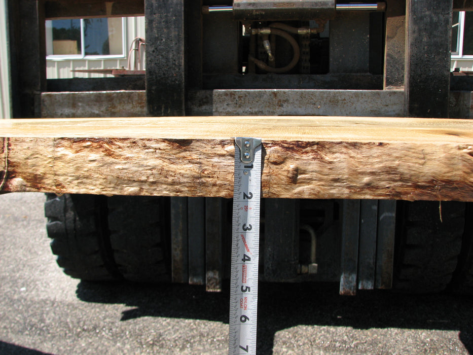 Cottonwood #7409(OC) - 2" x 30" to 35" x 142" FREE SHIPPING within the Contiguous US. freeshipping - Big Wood Slabs