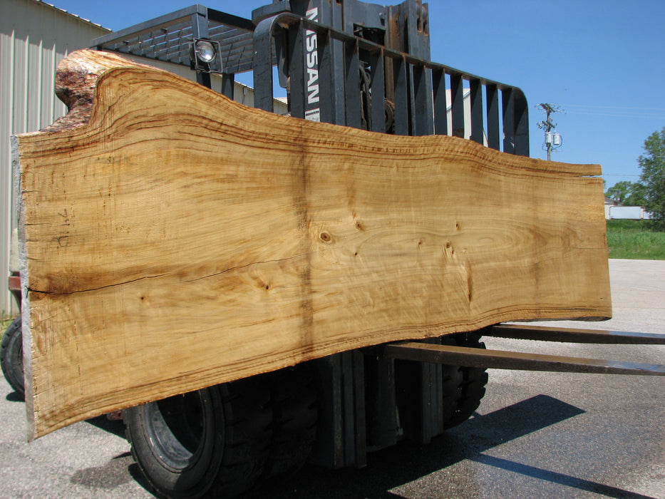 Cottonwood #7410(OC) - 1-7/8" x 31" to 37" x 140" FREE SHIPPING within the Contiguous US. freeshipping - Big Wood Slabs