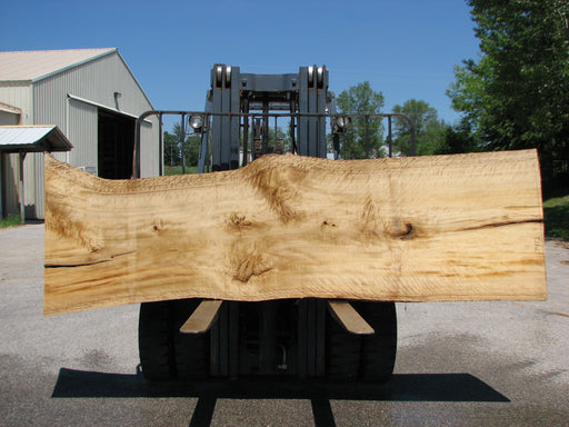 Cottonwood #7412(OC) - 2" x 31" to 39" x 127" FREE SHIPPING within the Contiguous US. freeshipping - Big Wood Slabs