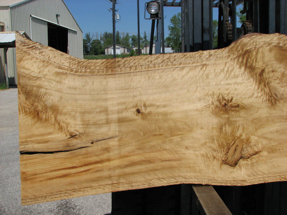 Cottonwood #7412(OC) - 2" x 31" to 39" x 127" FREE SHIPPING within the Contiguous US. freeshipping - Big Wood Slabs