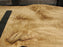 Cottonwood #7412(OC) - 2" x 31" to 39" x 127" FREE SHIPPING within the Contiguous US. freeshipping - Big Wood Slabs