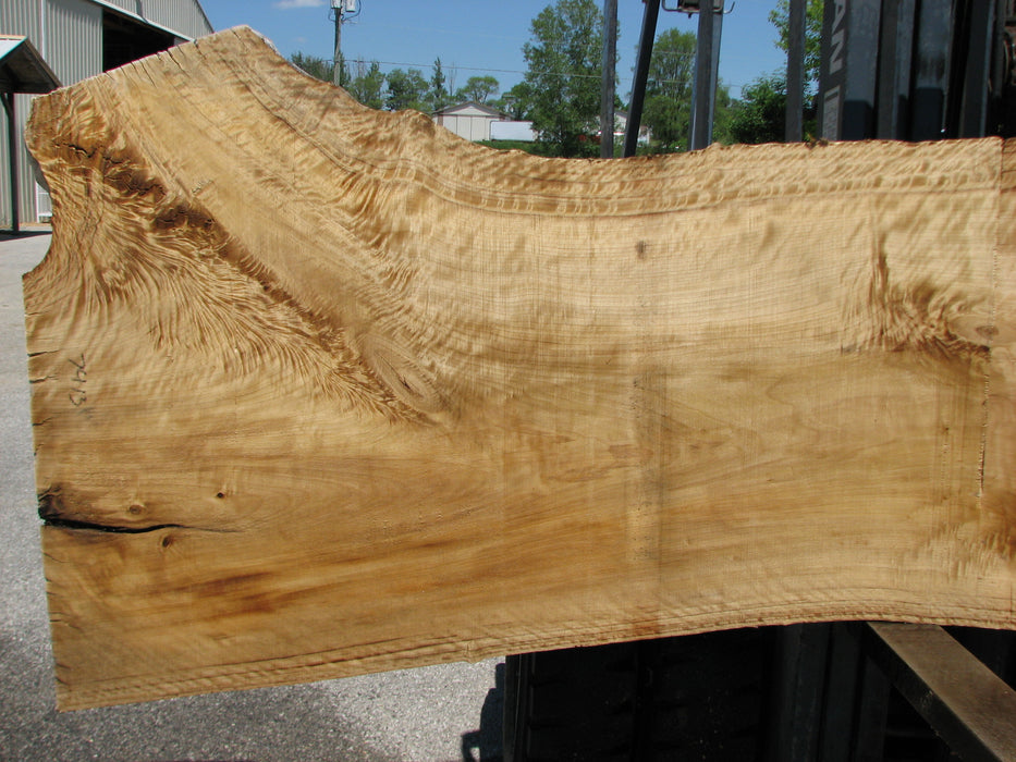 Cottonwood #7413(OC) - 2-3/4" x 29" to 40" x 141" FREE SHIPPING within the Contiguous US. freeshipping - Big Wood Slabs