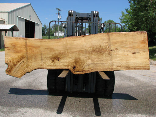 Cottonwood #7413(OC) - 2-3/4" x 29" to 40" x 141" FREE SHIPPING within the Contiguous US. freeshipping - Big Wood Slabs