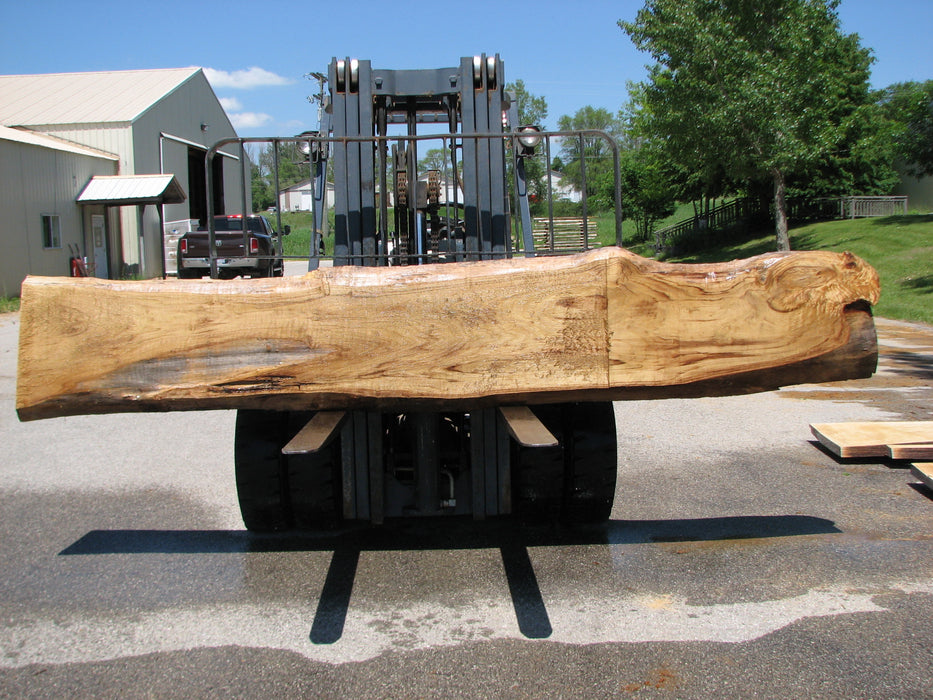 Cottonwood #7415(OC) - 2-3/4" x 16" to 32" x 156" FREE SHIPPING within the Contiguous US. freeshipping - Big Wood Slabs