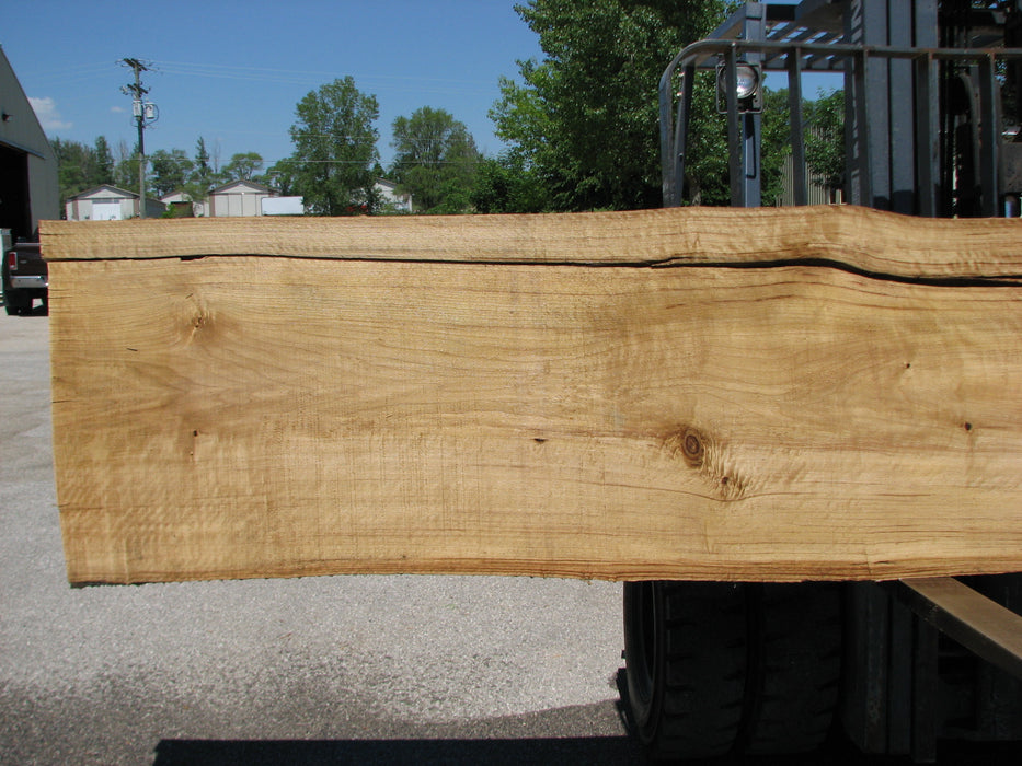 Cottonwood #7416(OC) - 2-1/2" x 17" to 27"and 3"-6" strip x 175" FREE SHIPPING within the Contiguous US. freeshipping - Big Wood Slabs
