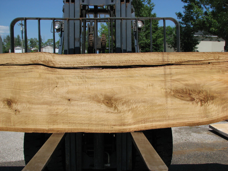 Cottonwood #7416(OC) - 2-1/2" x 17" to 27"and 3"-6" strip x 175" FREE SHIPPING within the Contiguous US. freeshipping - Big Wood Slabs