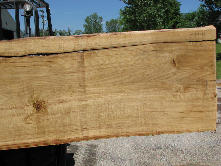 Cottonwood #7417(OC) - 2-1/4" x 21" to 28"and 3"-5" strip x 175" FREE SHIPPING within the Contiguous US. freeshipping - Big Wood Slabs