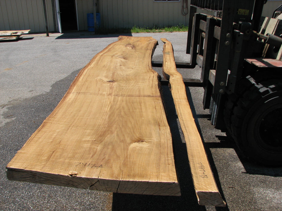 Cottonwood #7417(OC) - 2-1/4" x 21" to 28"and 3"-5" strip x 175" FREE SHIPPING within the Contiguous US. freeshipping - Big Wood Slabs