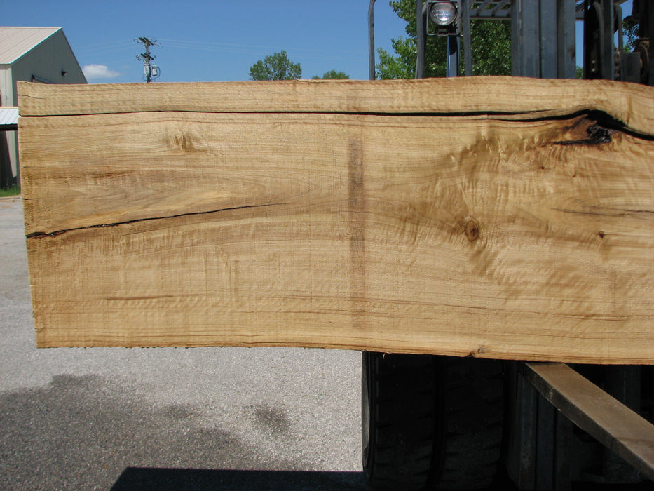 Cottonwood #7417(OC) - 2-1/4" x 21" to 28"and 3"-5" strip x 175" FREE SHIPPING within the Contiguous US. freeshipping - Big Wood Slabs