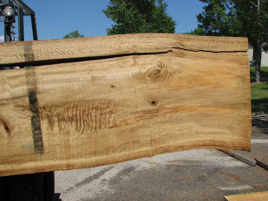 Cottonwood #7417(OC) - 2-1/4" x 21" to 28"and 3"-5" strip x 175" FREE SHIPPING within the Contiguous US. freeshipping - Big Wood Slabs