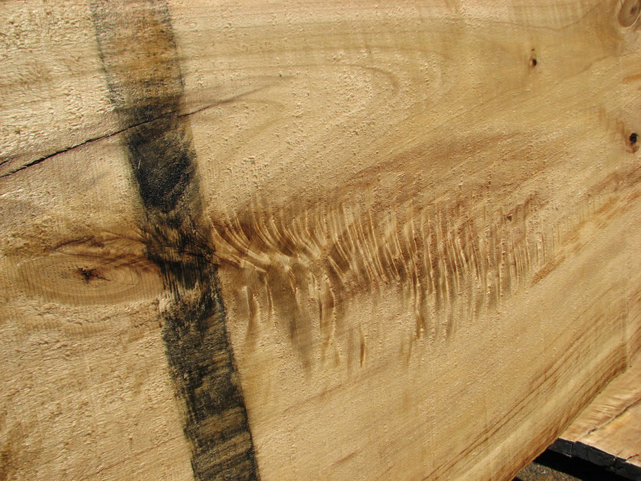 Cottonwood #7417(OC) - 2-1/4" x 21" to 28"and 3"-5" strip x 175" FREE SHIPPING within the Contiguous US. freeshipping - Big Wood Slabs