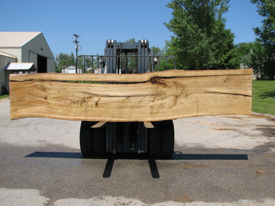 Cottonwood #7418(OC) - 2-1/4" x 25" to 30"and 3"-6" strip x 174" FREE SHIPPING within the Contiguous US. freeshipping - Big Wood Slabs