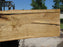 Cottonwood #7418(OC) - 2-1/4" x 25" to 30"and 3"-6" strip x 174" FREE SHIPPING within the Contiguous US. freeshipping - Big Wood Slabs