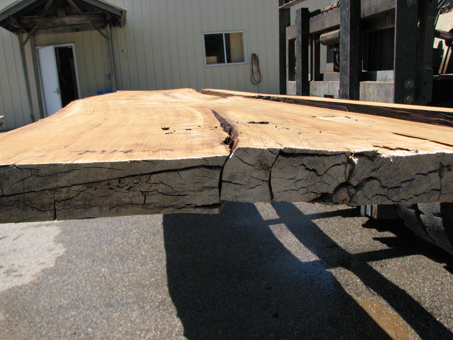 Cottonwood #7418(OC) - 2-1/4" x 25" to 30"and 3"-6" strip x 174" FREE SHIPPING within the Contiguous US. freeshipping - Big Wood Slabs