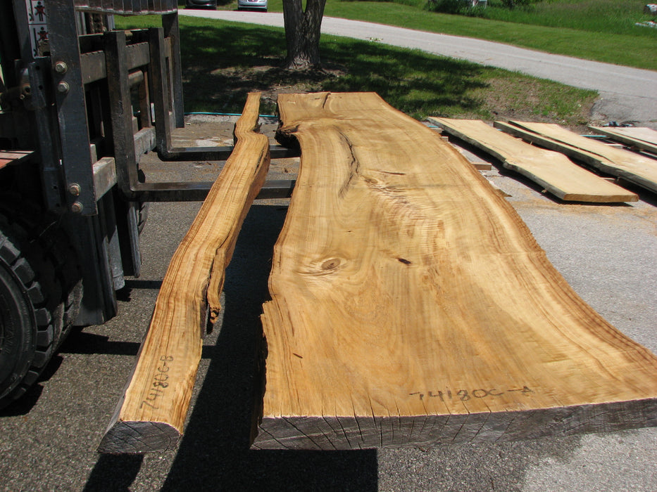 Cottonwood #7418(OC) - 2-1/4" x 25" to 30"and 3"-6" strip x 174" FREE SHIPPING within the Contiguous US. freeshipping - Big Wood Slabs