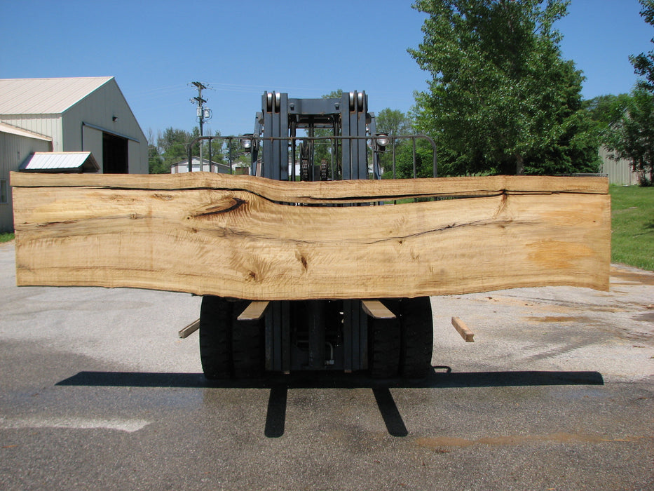 Cottonwood #7418(OC) - 2-1/4" x 25" to 30"and 3"-6" strip x 174" FREE SHIPPING within the Contiguous US. freeshipping - Big Wood Slabs