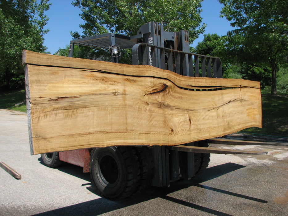 Cottonwood #7418(OC) - 2-1/4" x 25" to 30"and 3"-6" strip x 174" FREE SHIPPING within the Contiguous US. freeshipping - Big Wood Slabs