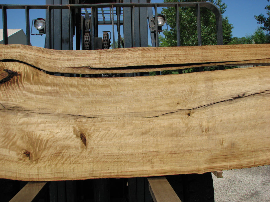 Cottonwood #7418(OC) - 2-1/4" x 25" to 30"and 3"-6" strip x 174" FREE SHIPPING within the Contiguous US. freeshipping - Big Wood Slabs