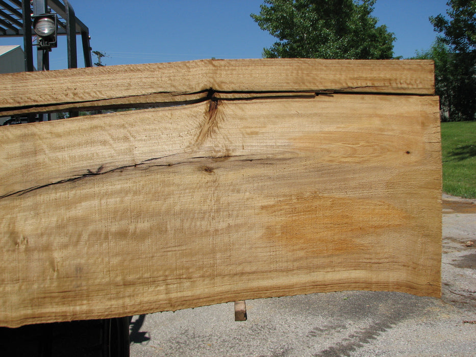 Cottonwood #7418(OC) - 2-1/4" x 25" to 30"and 3"-6" strip x 174" FREE SHIPPING within the Contiguous US. freeshipping - Big Wood Slabs