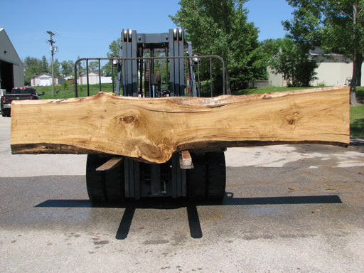 Cottonwood #7419(OC) - 2-1/2" x 16" to 30" x 163" FREE SHIPPING within the Contiguous US. freeshipping - Big Wood Slabs