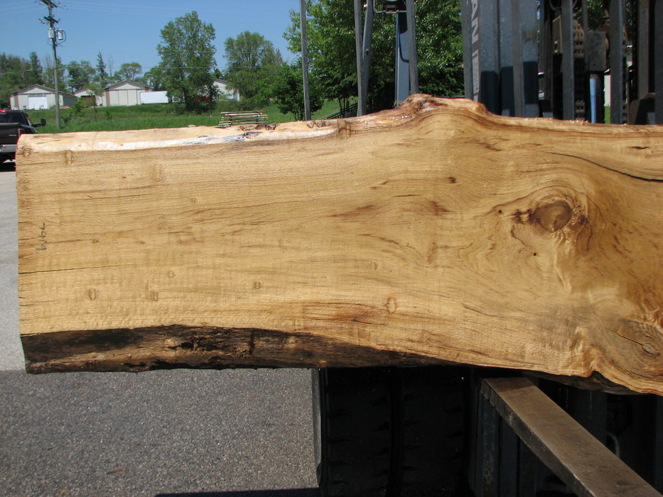 Cottonwood #7419(OC) - 2-1/2" x 16" to 30" x 163" FREE SHIPPING within the Contiguous US. freeshipping - Big Wood Slabs