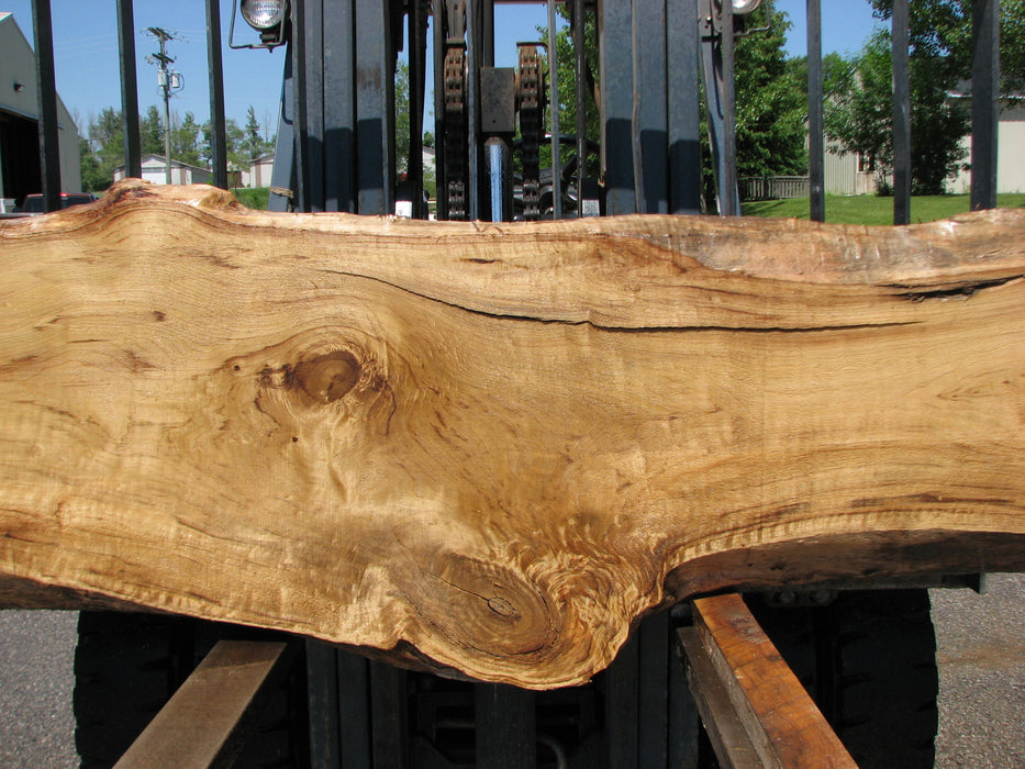 Cottonwood #7419(OC) - 2-1/2" x 16" to 30" x 163" FREE SHIPPING within the Contiguous US. freeshipping - Big Wood Slabs